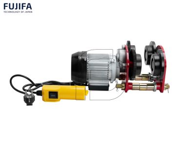 Con chạy điện FUJIFA 500 KG - 220V 30