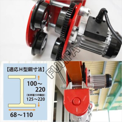 Con chạy điện FUJIFA 500 KG - 220V 35