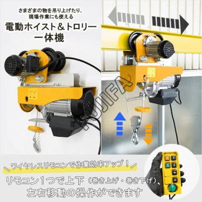 Con chạy điện FUJIFA 500 KG - 220V 34